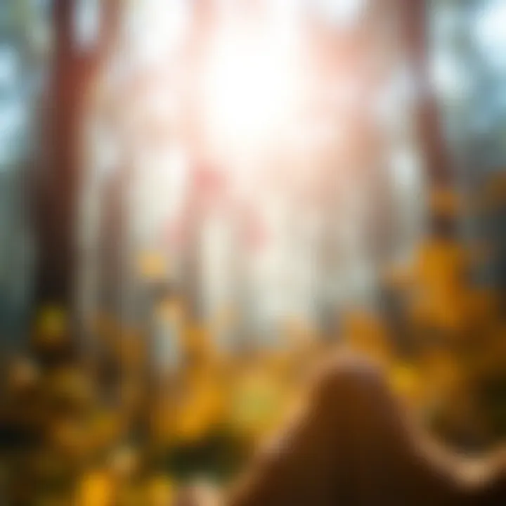 Flowchart demonstrating the algorithmic steps involved in constructing an optimal binary search tree