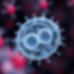 Cell Division Resulting in Genetically Identical Daughter Cells Illustration of a microorganism dividing into two identical daughter cells