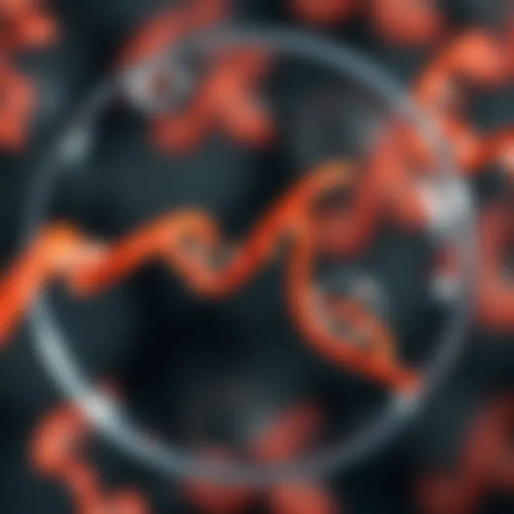 DNA Replication in Microorganisms During Binary Fission Diagram showing the replication of DNA inside a single microorganism
